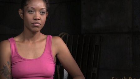 与巧克力屁股的野性