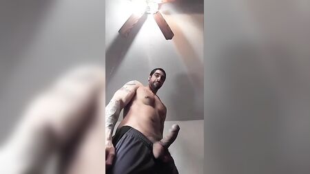 巨大的阿拉伯鸡巴