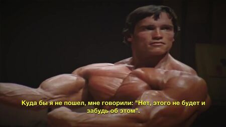 阿诺德·施瓦辛格。时刻保持动力