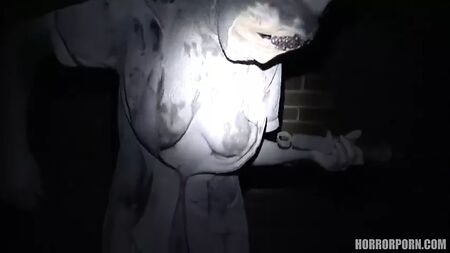 寂静岭的护士们