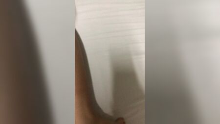 获取