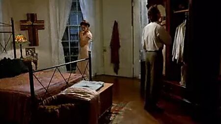 《赞达莉》（1991）