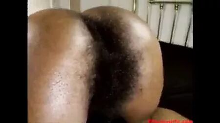 毛茸茸的黑人哈雷·洛夫