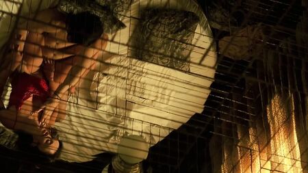 《罗萨里奥·蒂赫拉斯》（2005）