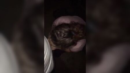 Dirtygirl614 为陌生人口交并进行无套性交
