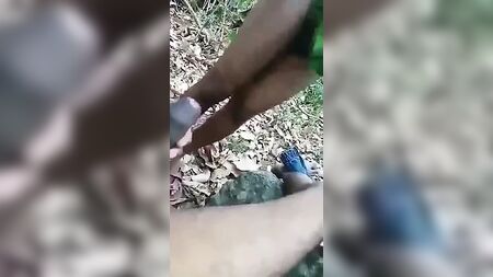 泰米尔语男同性恋户外性爱