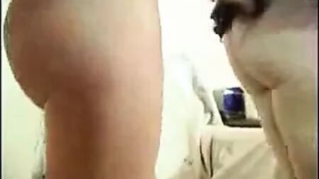 性感侄女给姨妈的礼物
