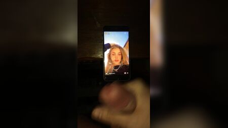 安娜·舒马特的致敬
