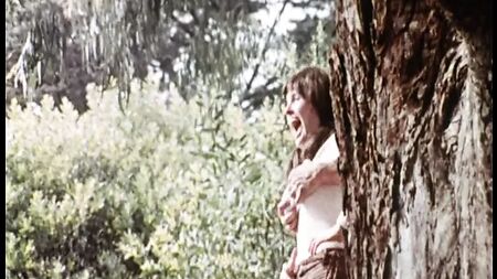 《边境以南》（1976年，美国，完整版，DVD翻录版）