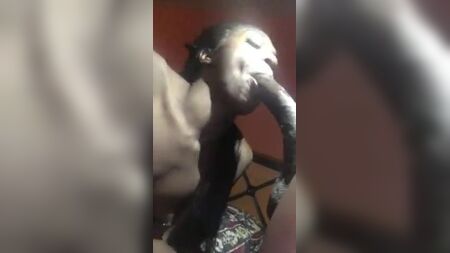 变性人吞下12码的巨根