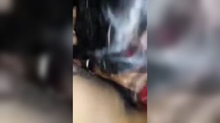 去他妈的泰卢固语