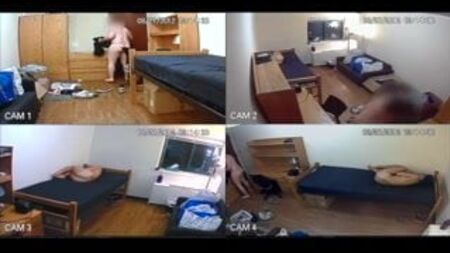 艾玛·苏尔科维奇