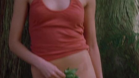 《我们不再住在这里》（2004）