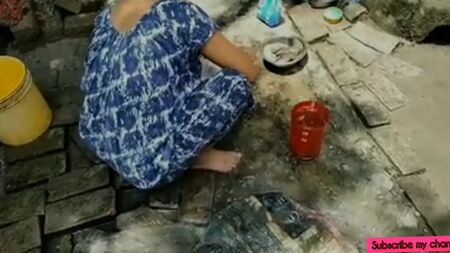 泰米尔裔印度农民夫妇的性爱视频