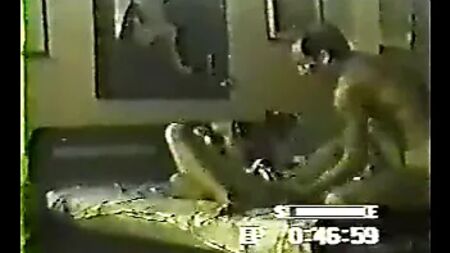 哥伦比亚名人露莉·博萨