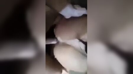 达达理发师 斯雷布雷尼克
