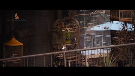 里基·林德霍姆——《银湖之下》2018