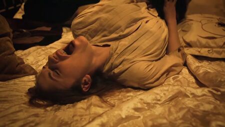 《风月场所》（2010）