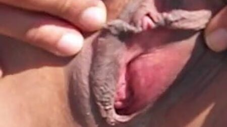 贝儿的爱斯基摩人展览