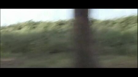 萨拉·瓦罗内——《后台日历》2009
