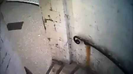 度假屋