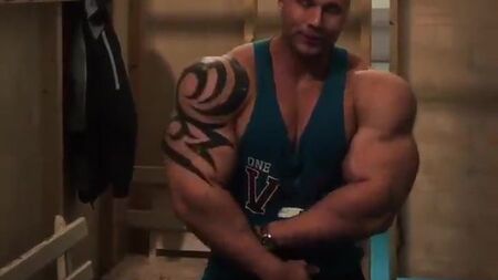 SYNTHOL 肌肉