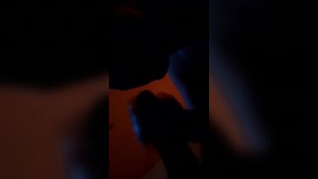一位布鲁塞尔的陪游