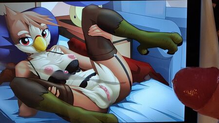 《Starbound》鸟类毛茸茸角色致敬