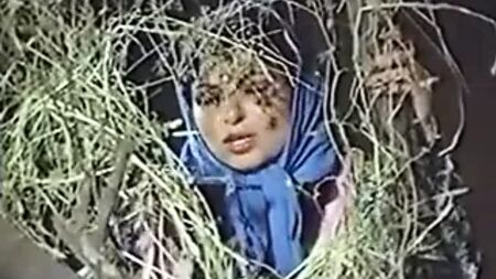 泽林·埃格利勒 - 风尘女子情妇 - 阿塔·萨卡