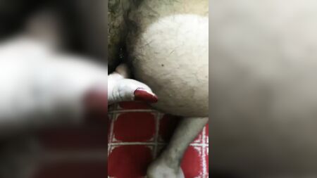 埃及女主人