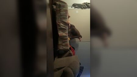 卧室霸主