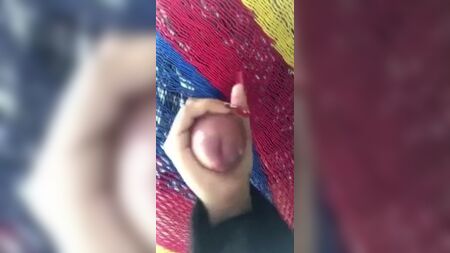 在吊床下挤奶