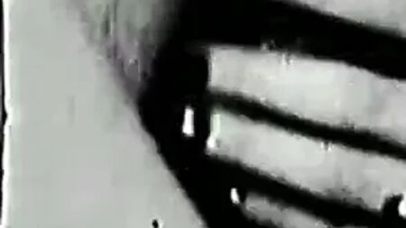 珍稀发现——琳达·洛夫莱斯——无所不包