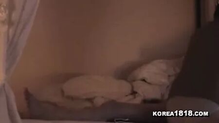 火辣韩国前女友的报复色情视频