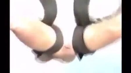跳伞简介简介简介……哈哈