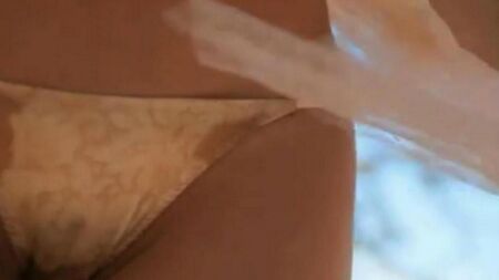 一个美丽的亚洲男人决定把她的猫放映