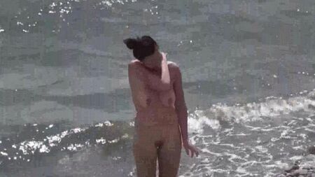 海滩上的几个裸体主义者