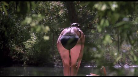 詹妮弗·康纳利、维吉尼亚·马德森等全裸出演——《热区》（1990）高清1080p蓝光版