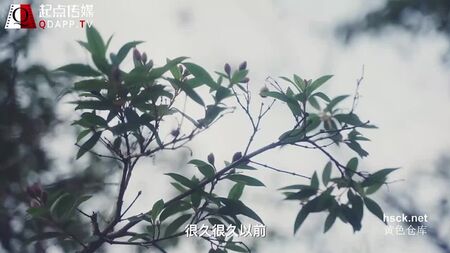 奇点传媒 XSJ 007 《睡美人：坏坏王子与公主的爱情》