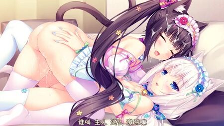 18+成人向《NEKOPARA》第1卷