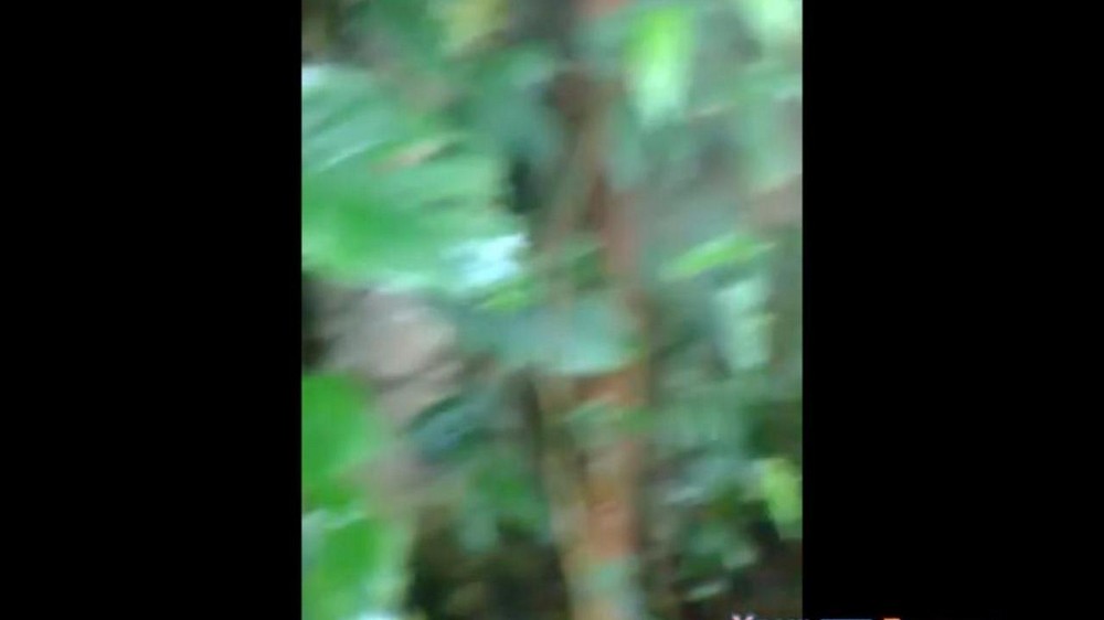 这种真正的乱伦真的是由家庭本身拍摄的