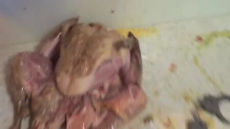 [HowToBasic] 如何给火鸡填馅