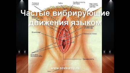 如何正确进行口交、达到高潮、肛交和自慰