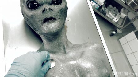 罗斯威尔UFO（色情、第一人称视角、BDSM、角色扮演、性癖好、恐怖、硬核）