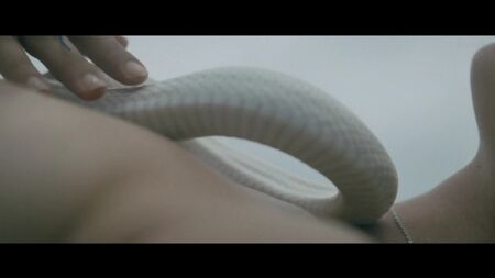 帕兹·德·拉·韦尔塔、迪安娜·阿格隆等 裸体 - 《Bare》（2015）在线观看 / 迪安娜·阿格隆、帕兹·德·拉·韦尔塔 - 《Bare》
