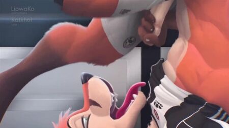 毛茸茸的狐狸 同志 Yiff