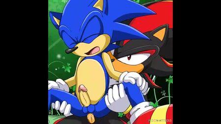 《Gay Sonic Sideshow YAOY》