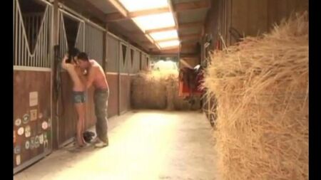 Haystack的Perepikhon Young