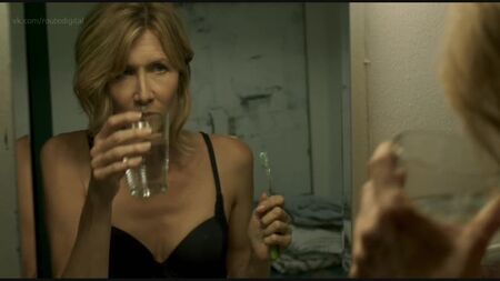 劳拉·邓恩 - 《故事》（2018）高清1080p 有裸戏？好性感！在线观看