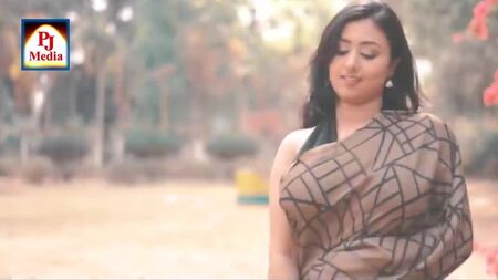Saree Sundari NAARI - 格纹纱丽